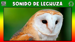 SONIDO DE LECHUZA 🦉 [upl. by Ianej]