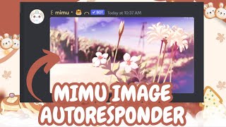 MIMU IMAGE AUTORESPONDER  Slash command 2023  Discord Tutorial [upl. by Ocire]