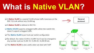 What is Native VLAN [upl. by Nalod]