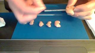 How To Clean Custom Molded Hearing Aids [upl. by Aleyak]