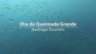 Mergulho na Ilha da Queimada Grande [upl. by Eilrebma]