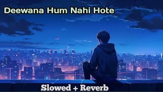 deewane hum nahi hote deewani raat aati hai  deewane hum nahi hote lofi songs  lofi songs [upl. by Zannini32]