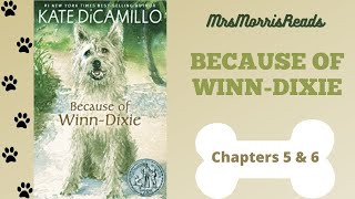 BECAUSE OF WINNDIXIE Chapters 5 amp 6 Read Aloud [upl. by Lefkowitz]