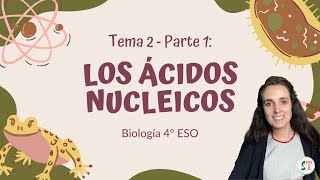 Los ácidos nucleicos ADN y ARN Biología 4º ESO [upl. by Verlie930]