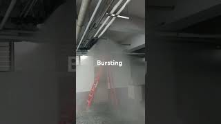 Assist bursting of sprinkler system [upl. by Annayak]