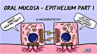 Oral Mucosa  An Introduction [upl. by Novia13]