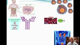 Módulo II Fisiología y fisiopatología de la diabetes mellitus tipo 1 [upl. by Nnylsaj989]