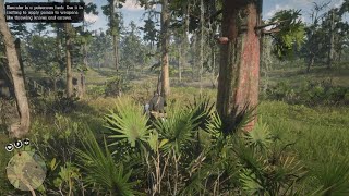 RDR2 Herbalist Challenge 9 Part 1 [upl. by Anaik]