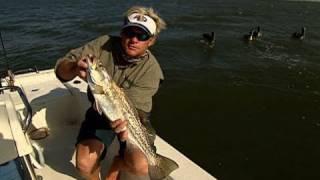 South Padre Island Texas Inshore Fishing for Trout with Live Croakers [upl. by Jola167]