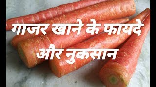 Carrot Health Benefits amp Side Effects  गाजर खाने के फायदे और नुकसान [upl. by Addie139]