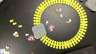 Plant cell cotransport [upl. by Latnahc]