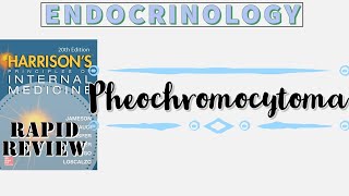 PHEOCHROMOCYTOMA  Rule of 10s  Clinical Features  Diagnosis  Management  Rapid Review [upl. by Grey]