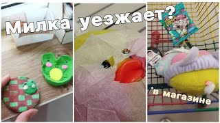 МИЛКА УЕЗЖАЕТ Влог с уточкой Милкой [upl. by Nelleh668]