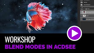 Blend Modes in ACDSee [upl. by Pan]