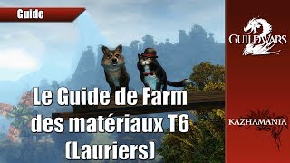 Guild Wars 2  Le Farm des matériaux T6  Avec les Lauriers [upl. by Ydnat613]