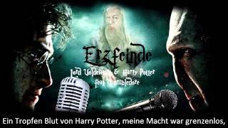 Erzfeinde – Lord Voldemort amp Harry Potter feat Dumbledore der märz hase Official Lyric Video [upl. by Leddy596]