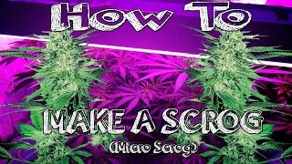 How To Make A Scrog [upl. by Akissej]