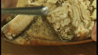 BBC  Rick Steins Seafood Odyssey  Special Features  Rick cooks fish [upl. by Annaeg740]