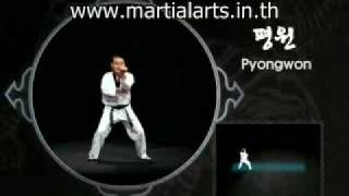 Taekwondo Poomse Pyoungwon [upl. by Daisey457]