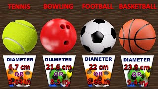 Size Comparison Balls Size  Sports Ball Size [upl. by Anial317]