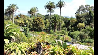 Tresco Abbey Garden 2019  Isles of Scilly  Tresco Island [upl. by Socher]