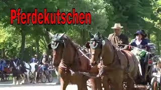 Pferdekutsche  Kutsche fahren mit Pferdekutschen [upl. by Haridan71]