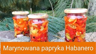 Marynowana papryka Habanero [upl. by Adnorat]