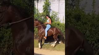 beautiful lady Horse riding without saddle viralvideo viralshorts horseriding [upl. by Itsud]