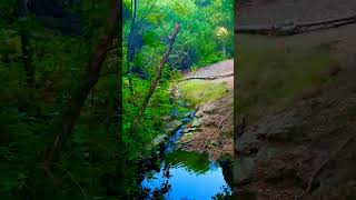 conejovalley southerncalifornia outdoors nature hikingtrails travel wildlife beautiful [upl. by Nageet]