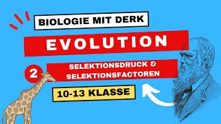 Evolution  2  Selektionsdruck und Selektionsfaktoren amp Selektionstypen  10  13 Klasse [upl. by Varini912]