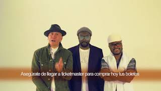 Black Eyed Peas llega a la CDMX [upl. by Ahtnama217]