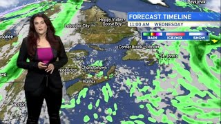 The Weather With Brianne Foley Oct 1 2024 [upl. by Burdelle]