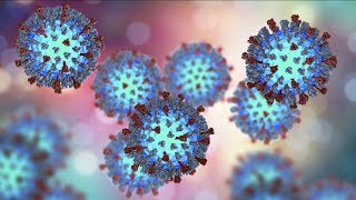 Rockland declares state of emergency over measles outbreak bars unvaccinated from public places [upl. by Itsirc]