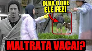 🔴DESGRAÇA VAR MOSTRA SE SACHA TERIA MALTRATADO VACA EM A FAZENDA 16 [upl. by Gaskins]