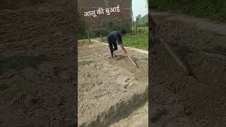 आलू की बुआई।🥔🥔aaloo 💯💯khet viral [upl. by Varhol]