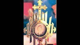 Eucharistic Miracle Reflection 92223 [upl. by Ludewig]