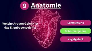 Teste dein AnatomieWissen 🧠  12 schnelle Fragen [upl. by Silloh]