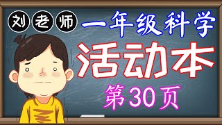 一年级科学活动本答案第30页🍎🍎🍎KSSR SEMAKAN一年级科学活动本答案🍉🍉🍉第5课动物🚀🚀🚀发挥爱心 爱护动物 上网🌈🌈🌈一年级科学动物 一年级科学活动本 [upl. by Ehsrop]