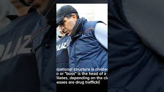 The Camorra  One of the biggest Drug Gang in the world gangster mafia mafiagangster [upl. by Wichman]