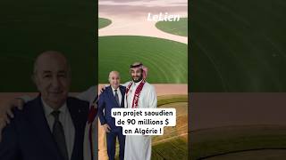 Agriculture saharienne  un projet saoudien de 90 millions  en Algérie  الجزائر algerie foryo [upl. by Ilsel957]