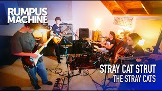 Stray Cat Strut Live Cover  Stray Cats  Rumpus Machine  Live Classic Rock amp Originals Band [upl. by Shewchuk850]