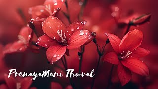 pranayamani thooval pozhiyum whatsapp statuspranayamani thooval song videostatusmalayalamaksa [upl. by Irene]