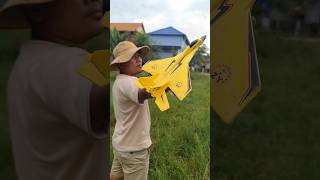 Control Airplane Z320 fpv modelplane [upl. by Atnuhs]