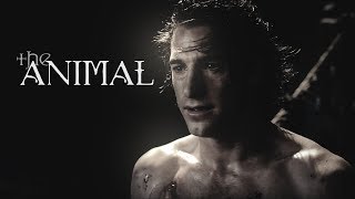 MICHAEL CORVIN  The Animal [upl. by Smaj319]