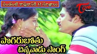 Pandanti Kapuraniki 12 Sutralu Movie Songs  Pogarubotu Chinnavadu Song  Suman Vijaya Shanthi [upl. by Sutelc]