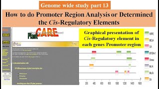 Genome wide study Part 13  Promoter region analysis using Plantcare  Cis regulatory element [upl. by Huesman134]