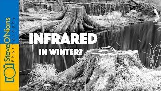 Landscape Film Photography  Infrared Midwinter Forest Shoot [upl. by Westbrooke911]