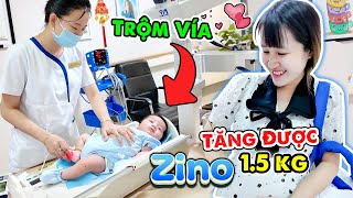 Dẫn Zino Đi Tái Khám  Trộm Vía Được Bác Sĩ Khen  Vê Vê Channel [upl. by Atkins]