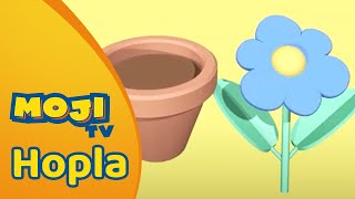 WAAR PAST DE BLOEM 🌼  HOPLA 🐇  Nederlandse Kinderseries  MojiTV [upl. by Awe]