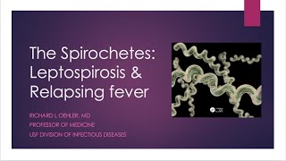 The Spirochetes Leptospirosis and Relapsing Fever  Richard L Oehler MD [upl. by Eesdnyl]